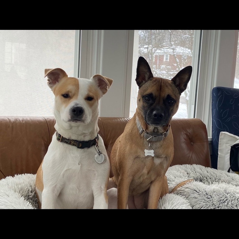 Meet your Posher, Julie